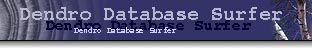 Dendro Database Surfer